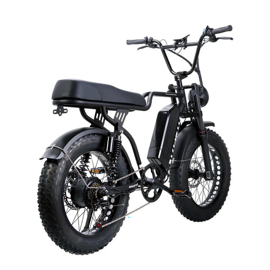 Nakto F2 Electric Bike NAKTO