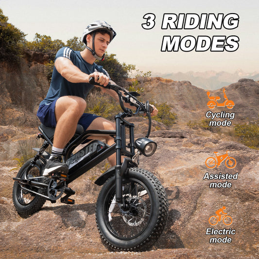 AVDLBIKE A13 Teenager Electric Bike – 21 MPH, 16" Fat Tire, 20-45 Mile Range