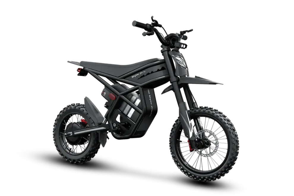 GT54 Pro Electric Mini Motorbike for Teenagers & Adults Renovomotors