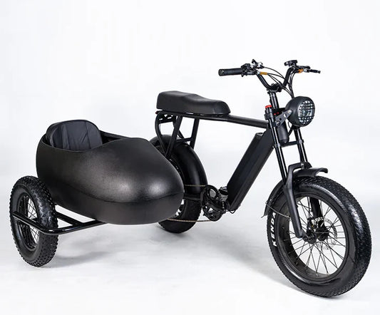 Side Car for Ebike