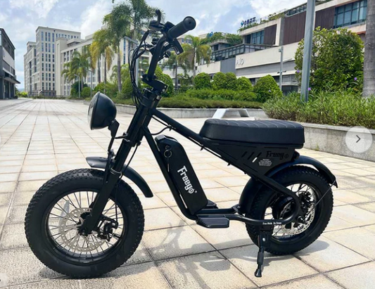 Freego M1-Mini Electric Motorcycle for Child