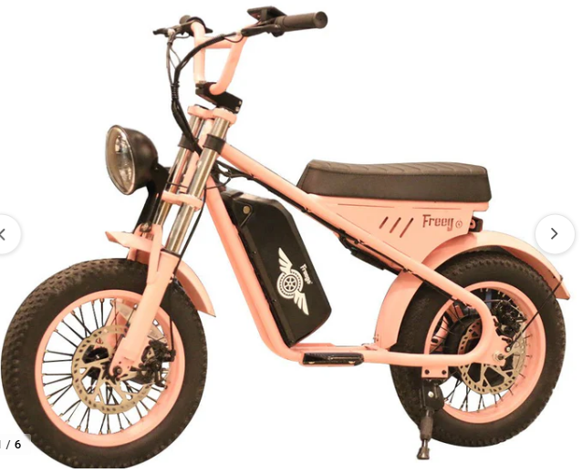 Freego M1 Mini Electric Motorcycle | 500W Motor, 48V 10.4Ah Battery, 28 MPH Top Speed