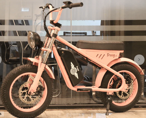 Freego M1-Mini Electric Motorcycle for Child