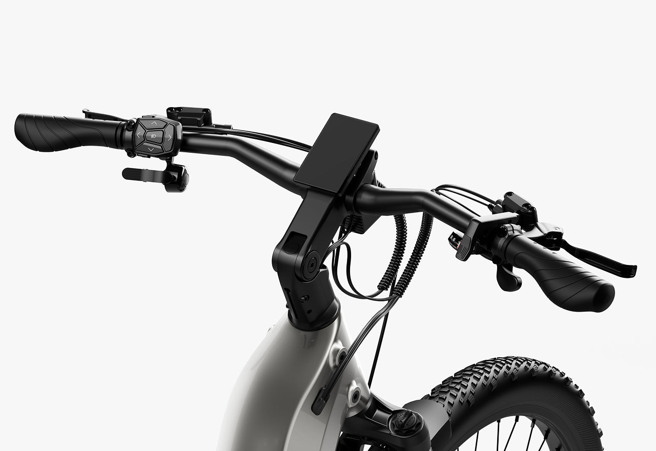 Carbon Atom E-Bike