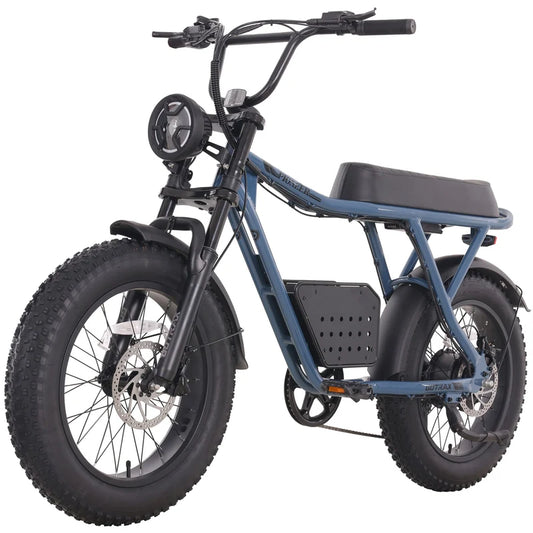 GOTRAX Ranger Electric Bike