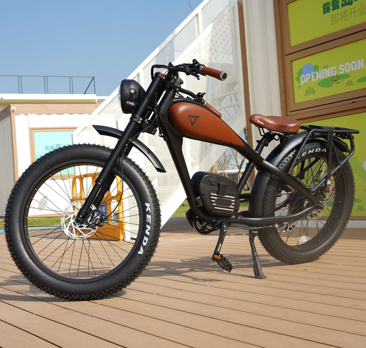 Revibike Cheetah Pro Revibikes