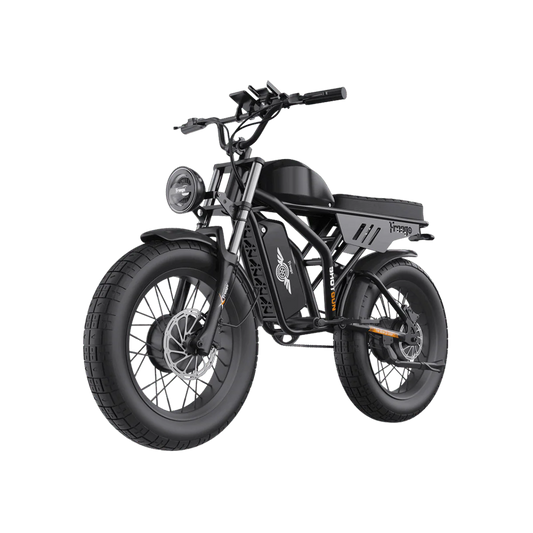 Freego Flash F3 Pro Dual Motor and Battery eBike