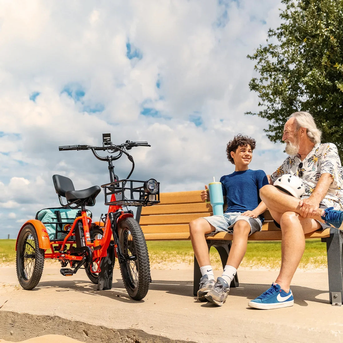 Mooncool Folding Electric Trike