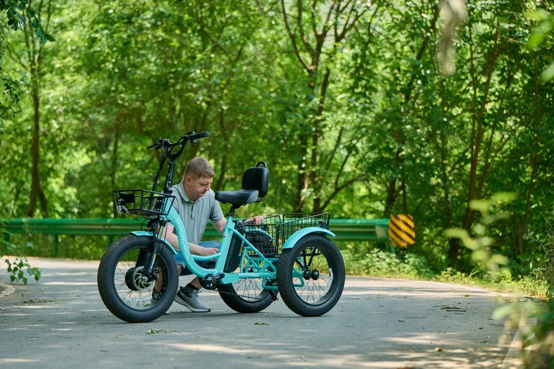 Mooncool Trike Weight