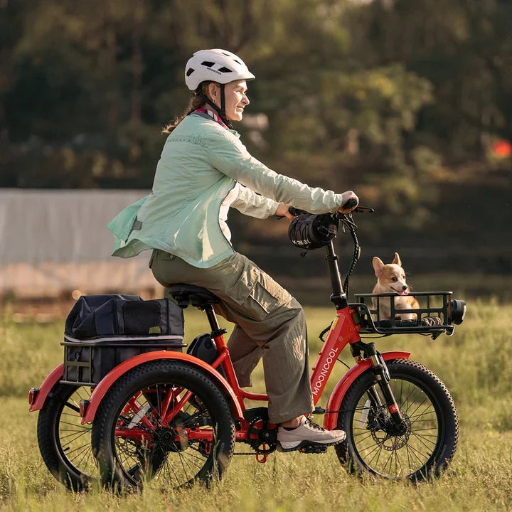 Mooncool Trike Accessories