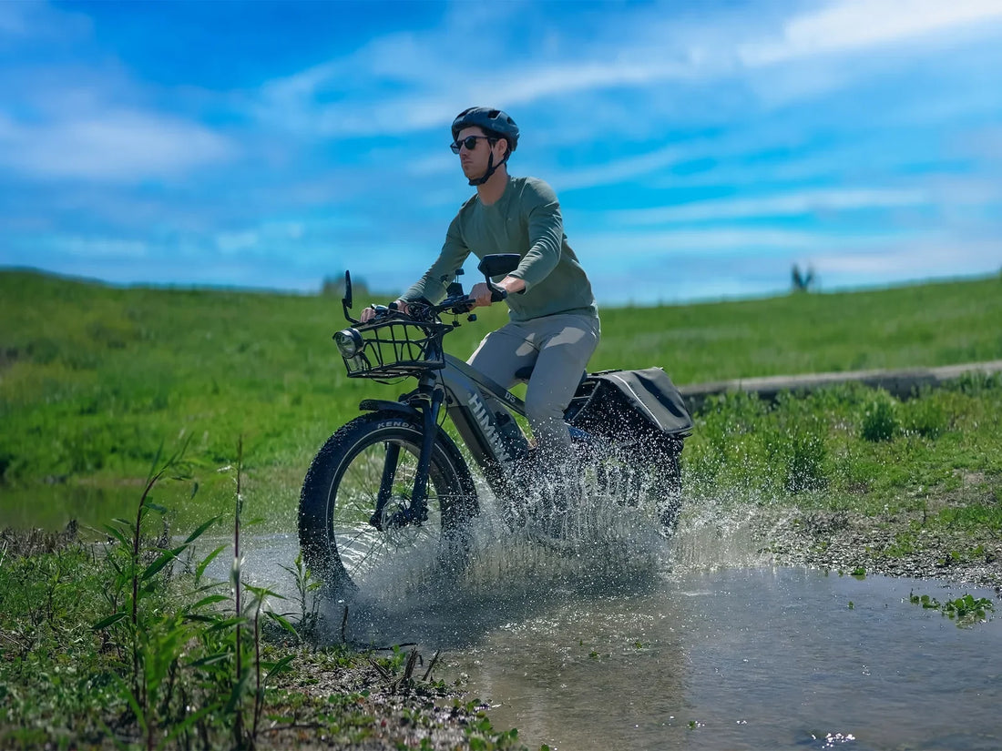 Himiway Zebra E-Bike Review: 750W & 80-Mile Range