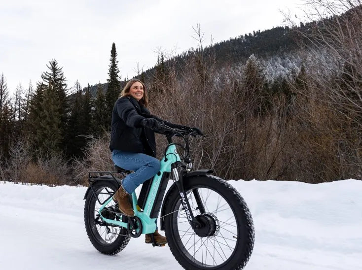 Mooncool Bikes Legi