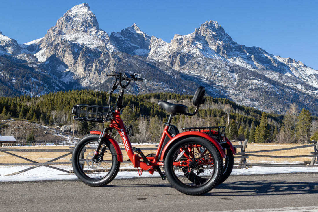 Mooncool TK Pro Specs: Range, Motor & Battery
