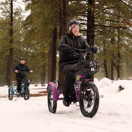 Mooncool Trike for Seniors: Models, Reviews & Guide