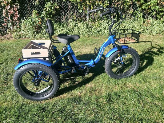 Mooncool Trike Issues