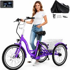 Mooncool Trike Top Speed: