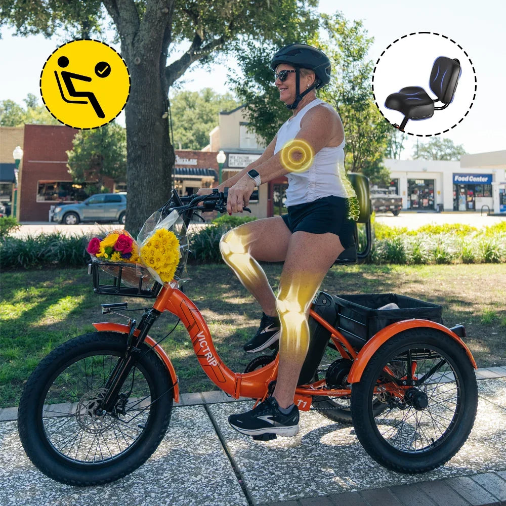 Best Mooncool Trike for Seniors: Top Picks