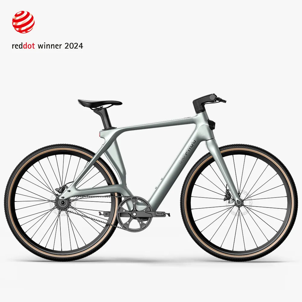 Fiido Electric bike