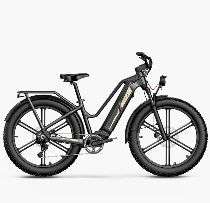 Fat Tire Electric Bikes – Best Prices & Fast Shipping | Renovo Motors
