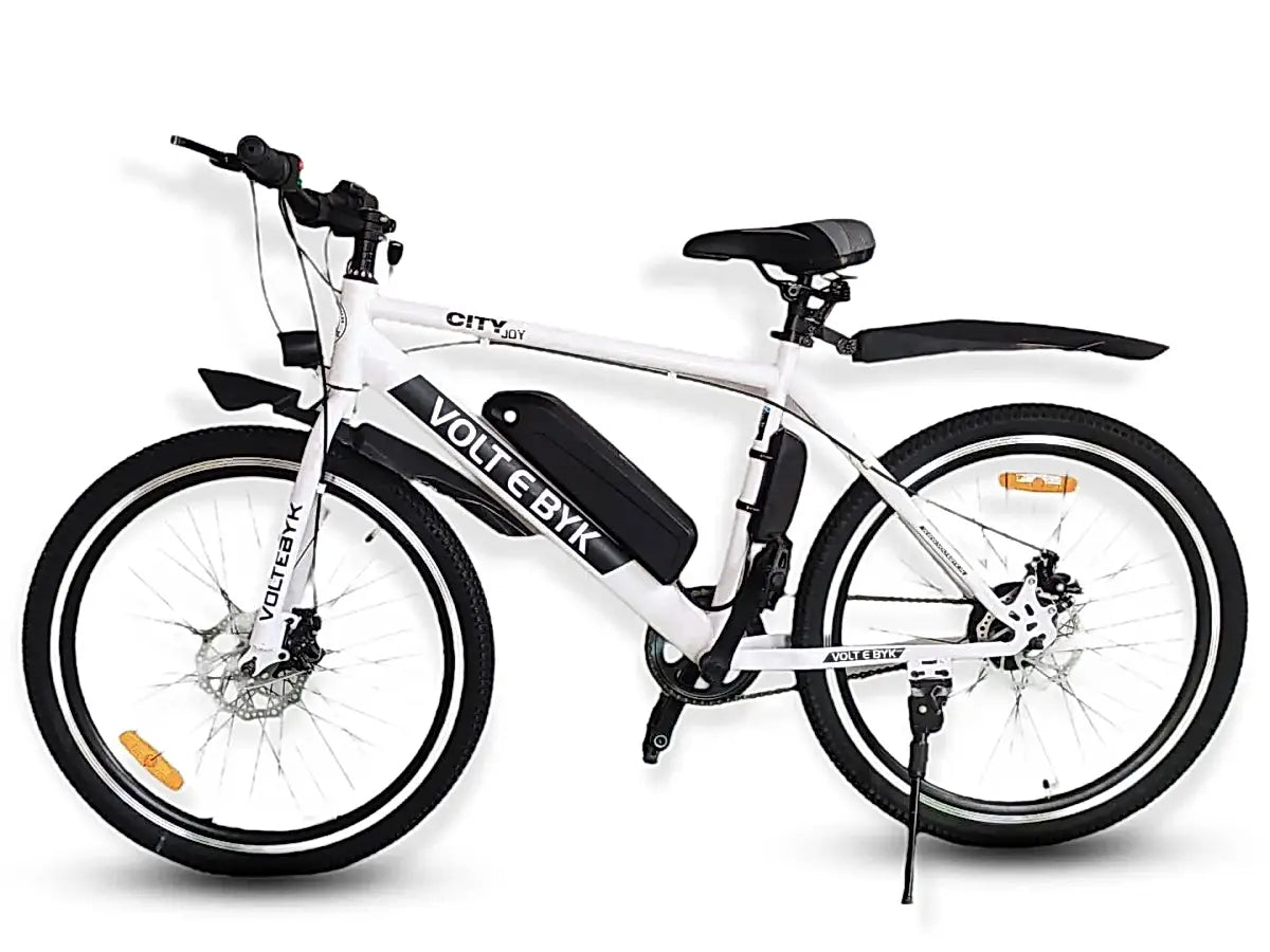 Hybrid Electric Bike