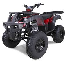 Tao 250