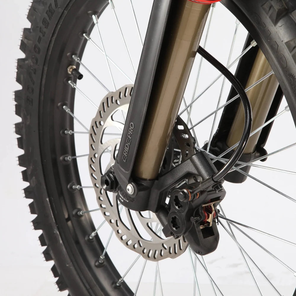 E Ride Pro SS 3.0 - Dirt EBike of Your Life - Image 7