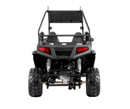 Tao Motor 200U EFI Utility UTV