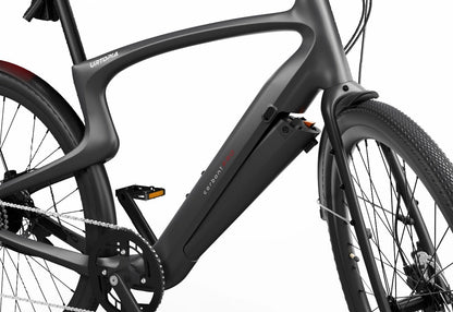 Carbon Classic E-Bike