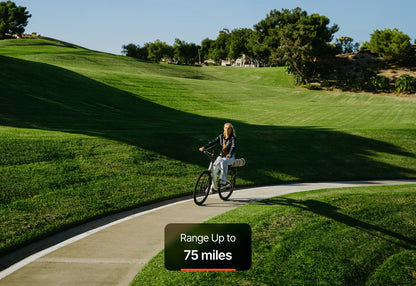 Carbon Classic E-Bike