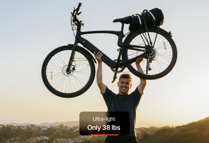 Carbon Classic E-Bike