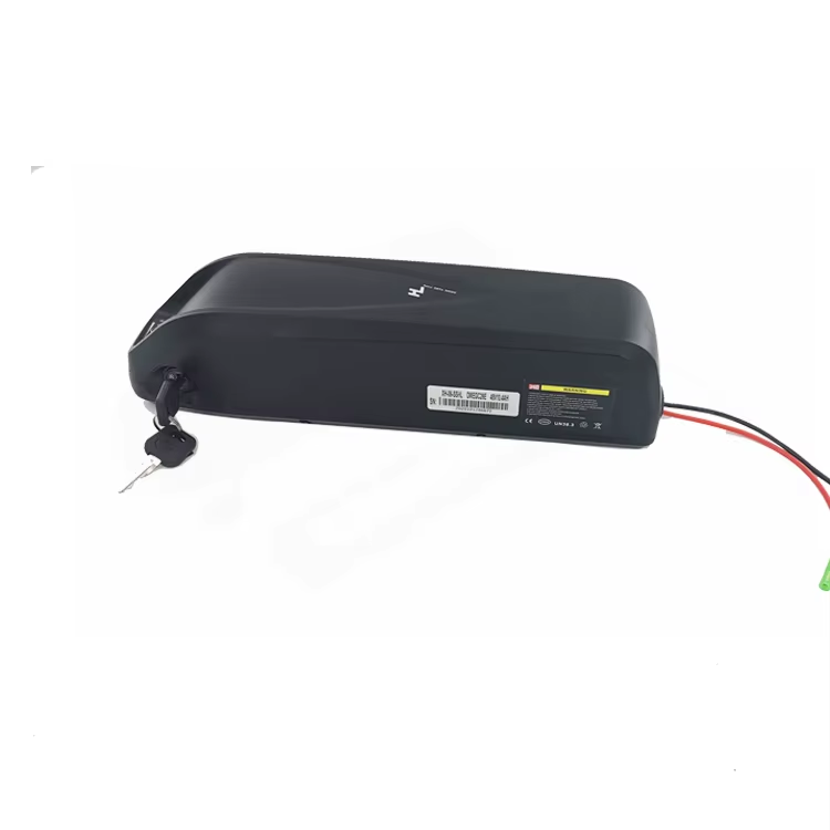 Hailong Ebike Battery case 48V Lithium Battery E Bike Lithium Battery