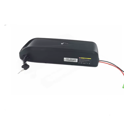 Hailong Ebike Battery case 48V Lithium Battery E Bike Lithium Battery