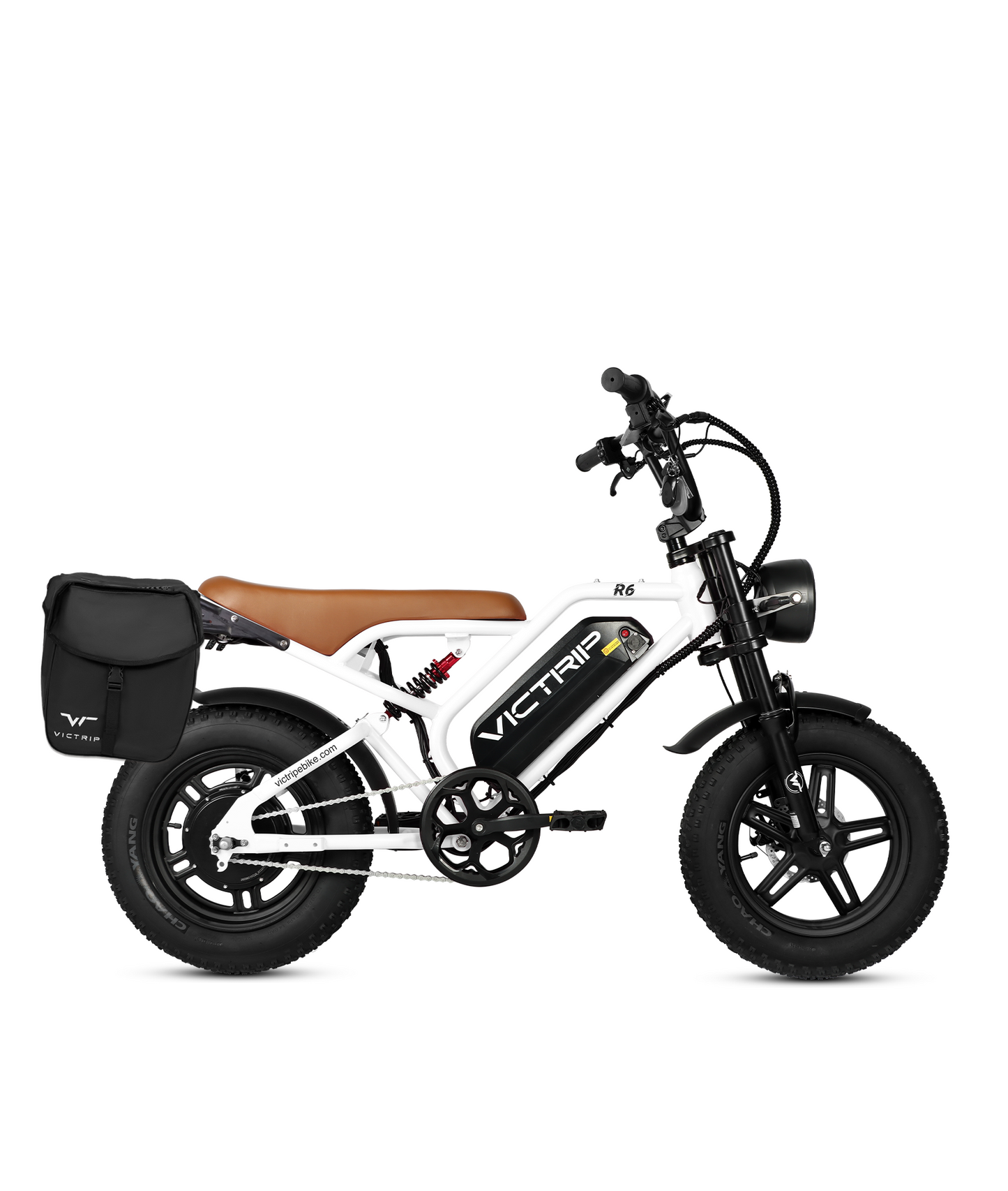 VICTRIP R6 Off Road Ebike | 1000W Peak Fat Tire