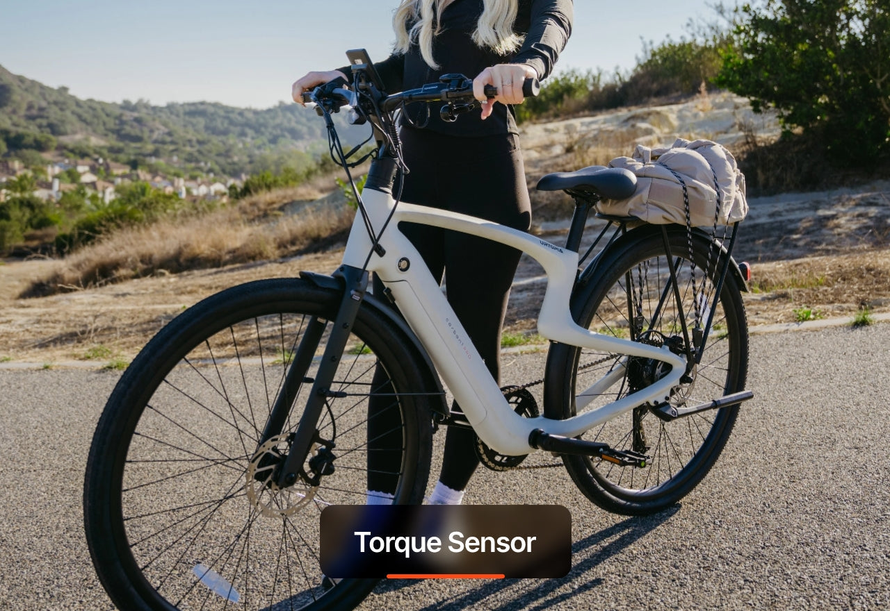 Carbon Classic E-Bike