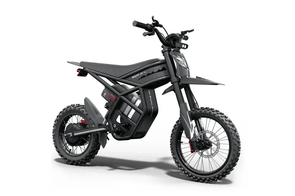 GT54 Pro Electric Mini Motorbike for Teenagers & Adults Renovomotors
