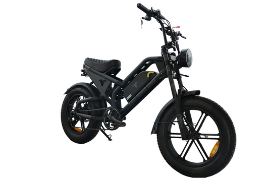 Billy Goat e bike by Goat Power Bikes