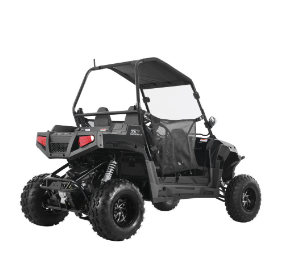 Tao Motor 200U EFI Utility UTV