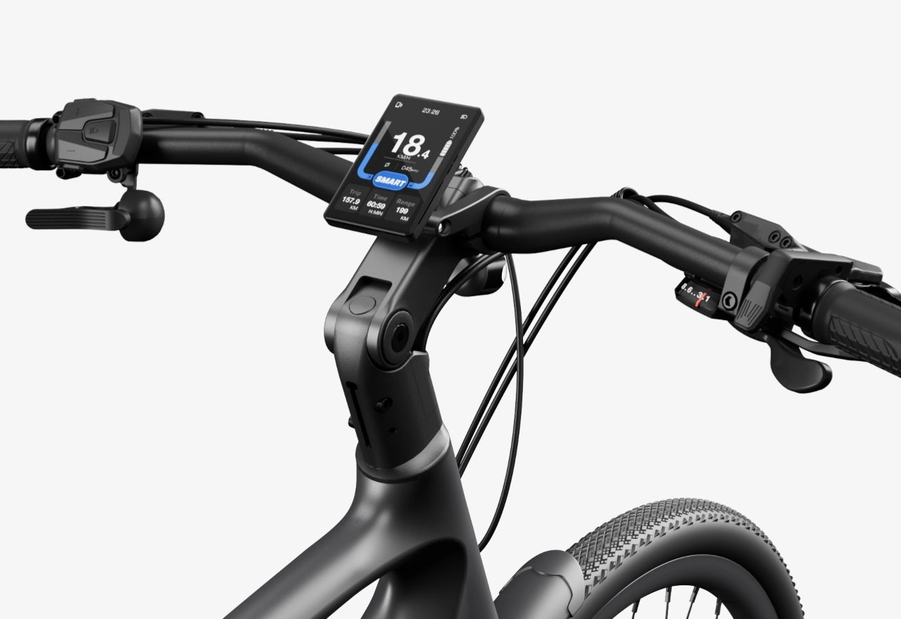 Carbon Classic E-Bike