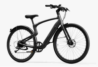 Carbon Classic E-Bike