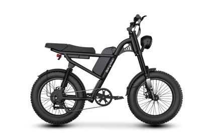 Z8S Electric Bike Renovomotors
