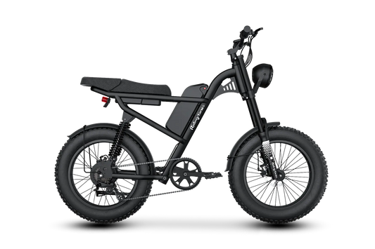 Z8S Electric Bike Renovomotors