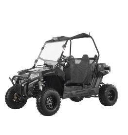 Tao Motor 200U EFI Utility UTV