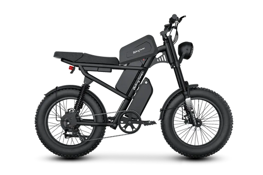 Z8 Pro Electric Bike Renovomotors