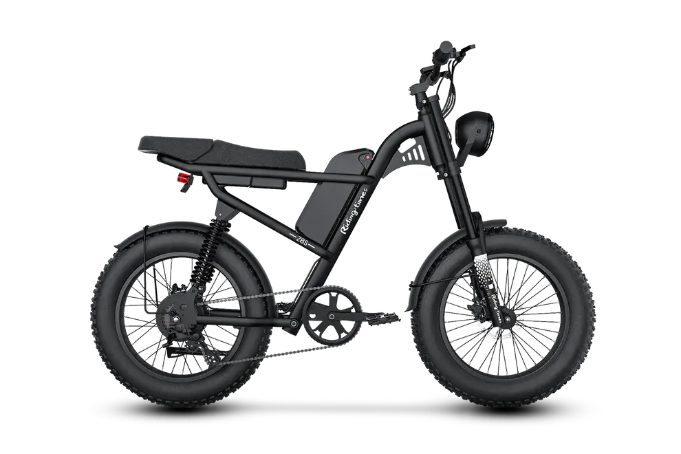 Z8 Electric Bike Renovomotors