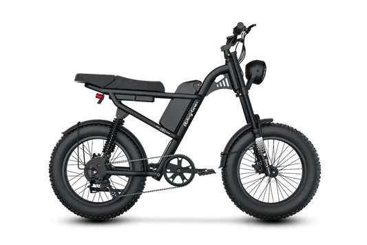 Z8 Electric Bike Renovomotors