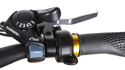 Nakto cruiser electric bike 36V 10A  550W peak 48miles 25MPH 400lbs Renovomotors