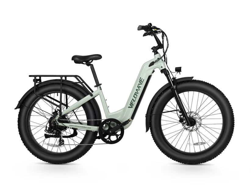 Ranger 3.0 Fat Tire All-Terrain Electric Bike