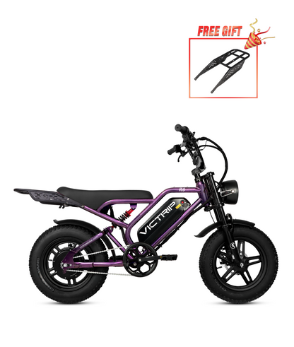 VICTRIP R6 Off Road Ebike | 1000W Peak Fat Tire