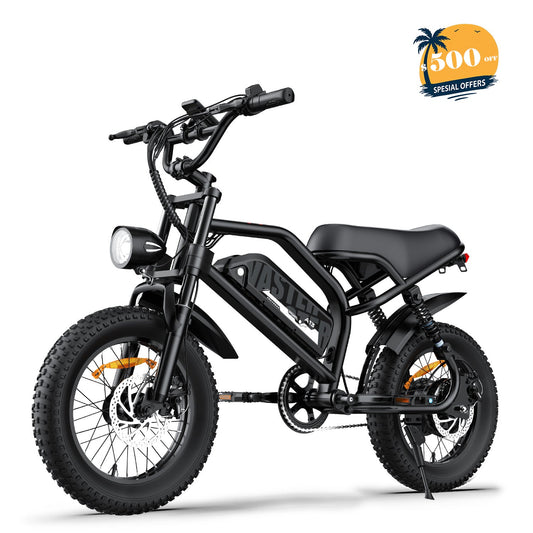 AVDLBIKE A13 Teenager Electric Bike (Black) – 22 MPH, 16" Fat Tire, 460Wh Battery