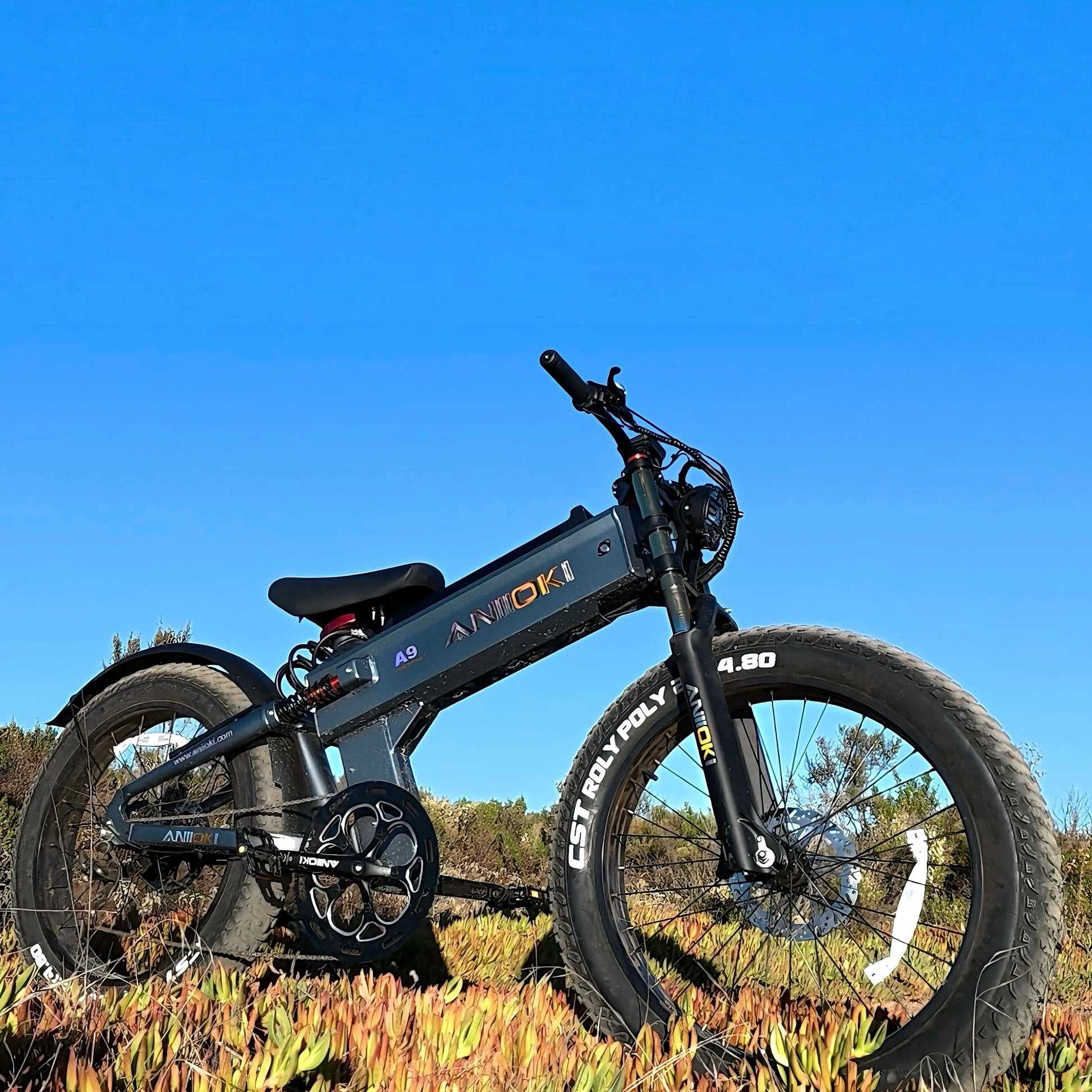 Aniioki A9 Pro Max 2000W Peak Power, Max 33MPH, 26*4.8" Fat Tire Renovomotors